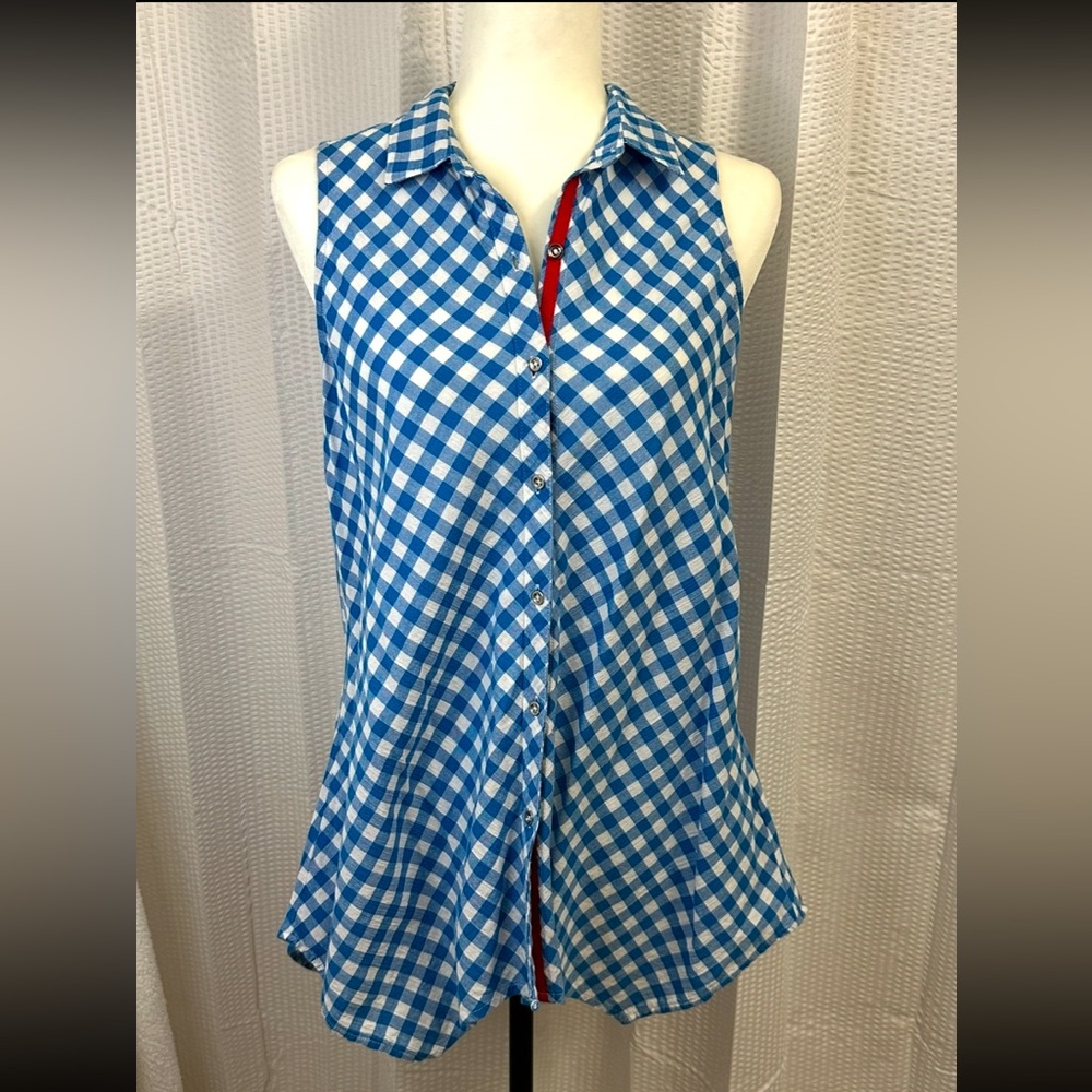 Rafaella Blue Gingham Top